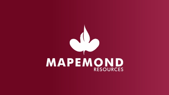 mapemond logo