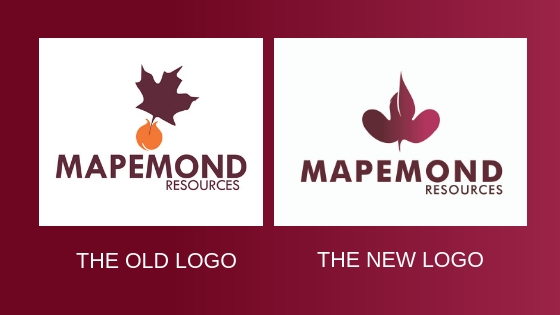 mapemond logo